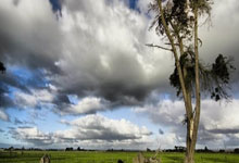 B体育:重返巅峰!卡塞米罗社媒:感谢老特拉福德的掌声,八强战我们来了.