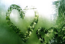 利物浦vs阿克灵顿：小将莫顿、恩古莫哈首发，萨拉赫轮休.