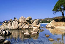 B体育:中国篮协:将优化国际球员使用政策,鼓励各俱乐部归化球员.